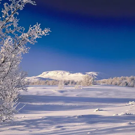 Lia Fjellhotell 3* Geilo
